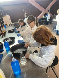Sféra, dřevo a chemie
