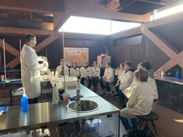 Sféra, dřevo a chemie