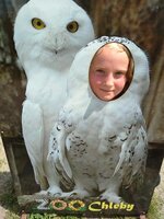 Projektový den - Zoo Chleby