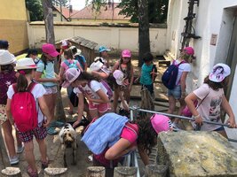 Projektový den - Zoo Chleby