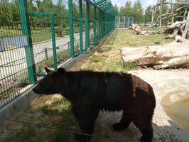 Projektový den - Zoo Chleby