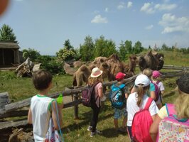 Projektový den - Zoo Chleby