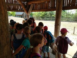 Projektový den - Zoo Chleby