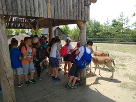 Projektový den - Zoo Chleby