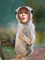 Projektový den - Zoo Chleby