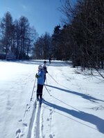 Ladovská zima