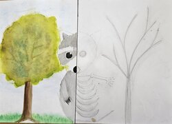 Tereza Lingrová, 6. B