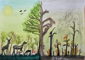 Simona Süttö, 7. A