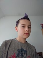 Den bláznivých účesů