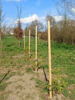 EVVO projekt - školní arboretum