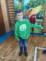 Papoušci ve družině