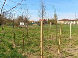 EVVO projekt - školní arboretum