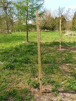 EVVO projekt - školní arboretum