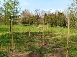 EVVO projekt - školní arboretum