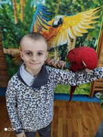 Papoušci ve družině