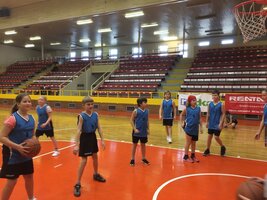 Liga škol - basketbal