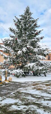 Rozsvěcení vánočního stromu v Sezemicích a sbor Rolnička