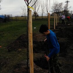 EVVO projekt - Ovocné stromy pro školáky s doplňkovou výsadbou rybízů