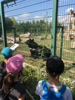 Projektový den - Zoo Chleby