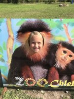 Projektový den - Zoo Chleby