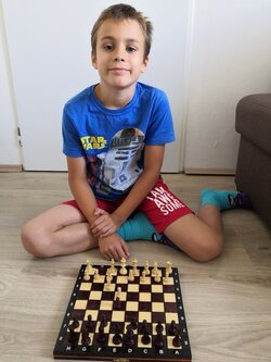 Výsledky celostátní šachové online soutěže Šachy do škol a Šachy Dolmen